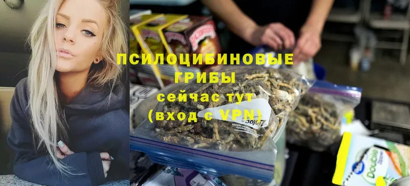 Галлюциногенные грибы Cubensis  Барабинск 